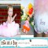 $50 Gift Certificate From Cute As A Bug Boutique Ends 2/10