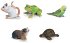 Schleich Animal Toys Review And Giveaway Ends 09/04 (US/CAN)
