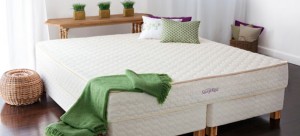 cat-organic-mattresses cat-organic-mattresses