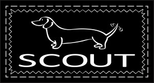 scout scout by bungalow