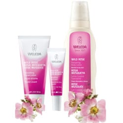 weleda wild rose