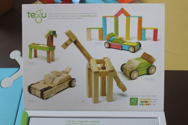 Tegu blocks