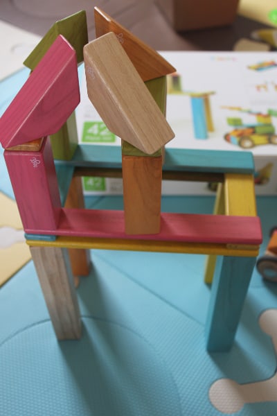 tegu magnetic blocks