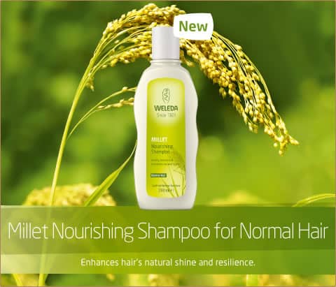 HairCare_Feature_Millet