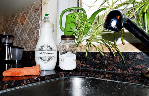 Homemade dish detergent