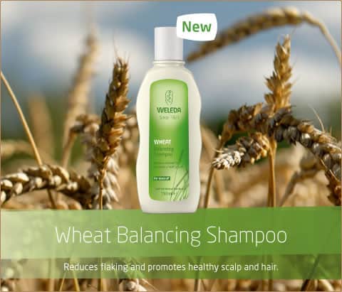 wheat balancing shampoo