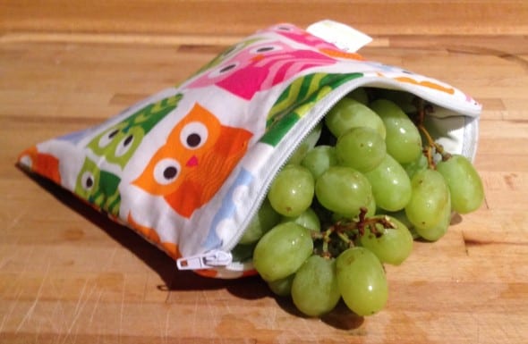 Itzy Ritzy Reusable Snack Bag