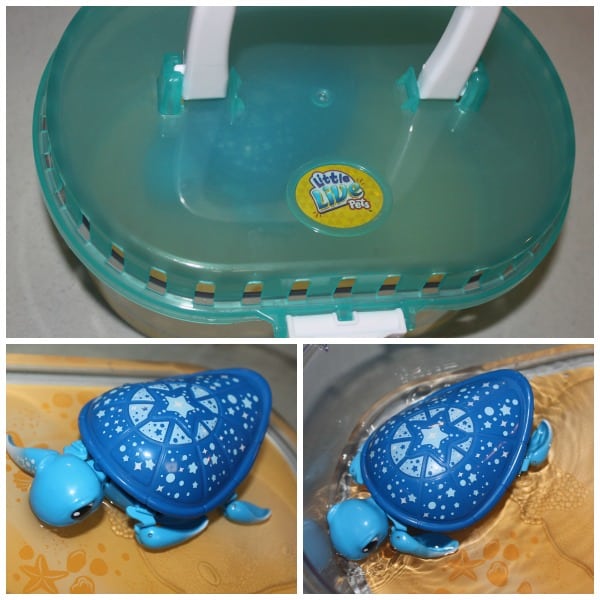 Little Live Pets Lil Turtle Tank