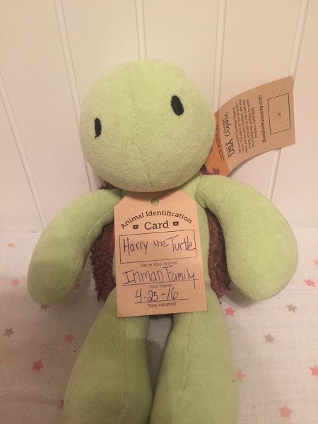 Bears for Humanity turtle