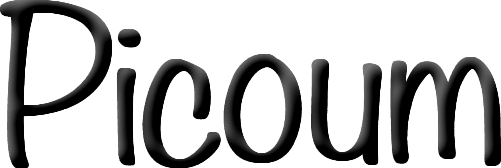 picoum logo